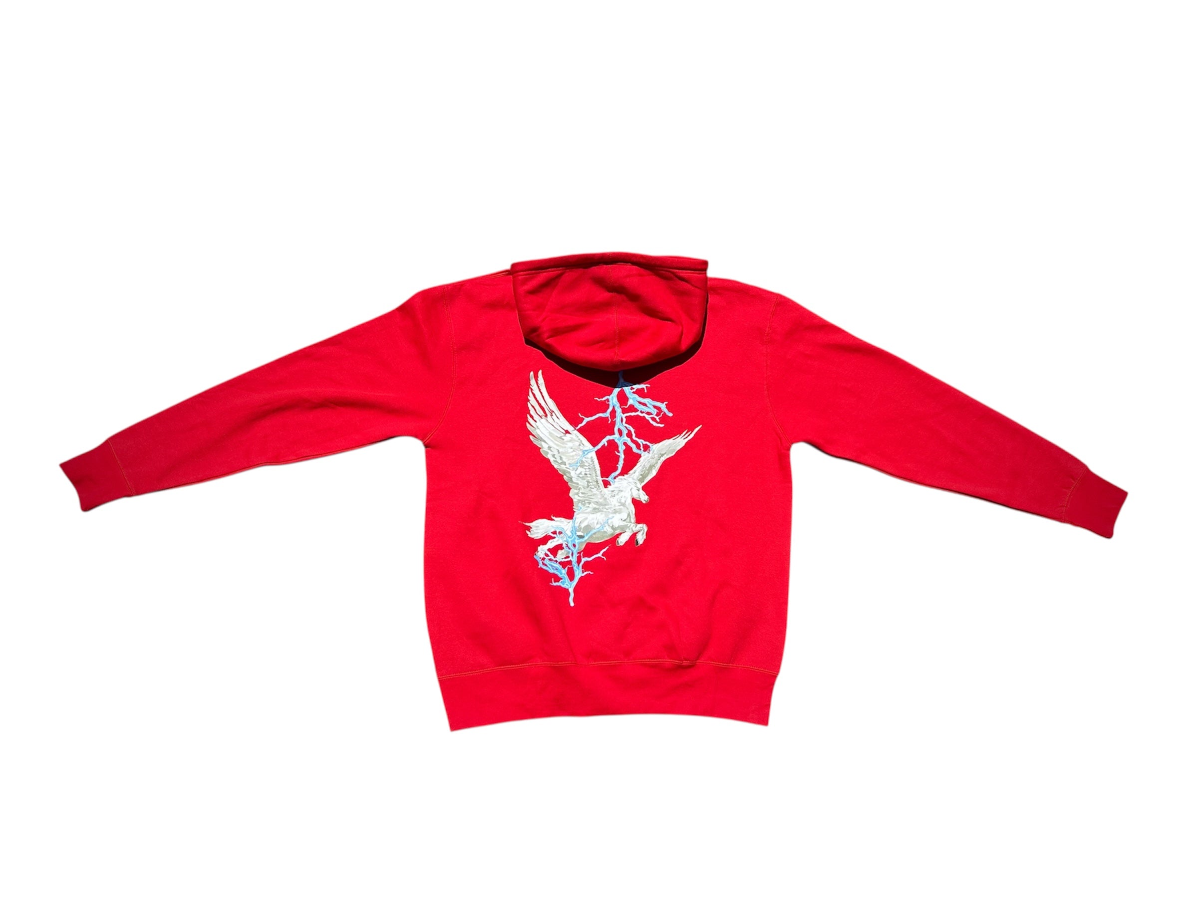 God Bless PEGASUS Hoodie