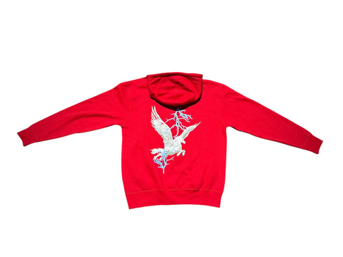 God Bless PEGASUS Hoodie